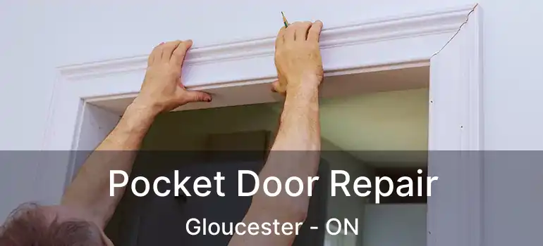  Pocket Door Repair Gloucester - ON